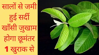 एकदम तुरंत ठीक सर्दी खॉंसी ज़ुखाम और गले की ख़राश | How to Cure Cold & Cough in one Day