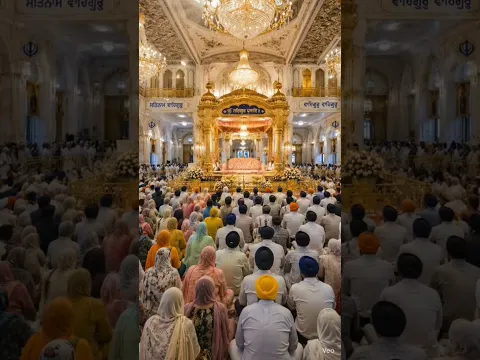 Guru Ghar Di Langar Sewa 🙏 | Dhan Dhan Guru Di Mehar ❤️ #Shorts #trending #viral