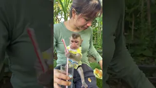 Snack on a bread and pure water