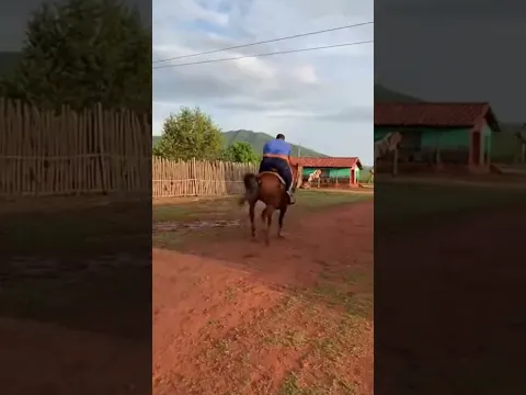 dia tranquilo a caballo #videosdivertidos #risas #ia #comedia #funny #virlashort #parati