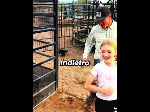 🐶😂 Il Cagnolino Ha Vinto Senza Nemmeno Saltare!