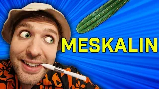Meskalin Test - Warum du es niemals nehmen wirst!