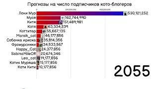 Число подписчиков кото-блогеров! ( Эксклюзивный эпизод 2)