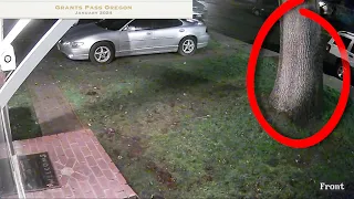 Security Cam Captures Exact Moment Tree Smashes House