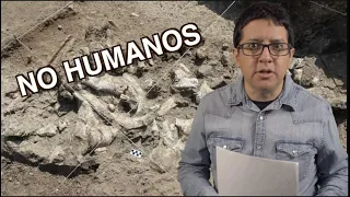 Herramientas Más Antiguas No Fueron Hechas Por Humanos