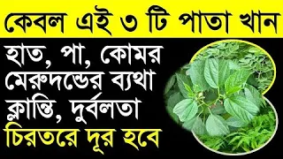 ক্যালসিয়ামের অভাব হলে বুঝবেন কি করে? কেবল এই ৩টি পাতা খেলে ১০০ বছরেও শরীরে ক্যালসিয়ামের ঘাটতি হবে না