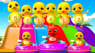 Chú Vịt Con - Vịt Con Chơi Cầu Trượt - Nhạc Thiếu Nhi Vui Nhộn