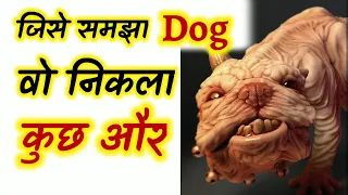 जिसे समझा डॉग वो निकला कुछ और😱 Who understood the dog that turned out to be something else #shorts