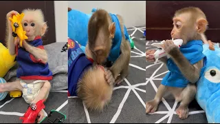 Little monkey sitting looking for lice for baby monkey