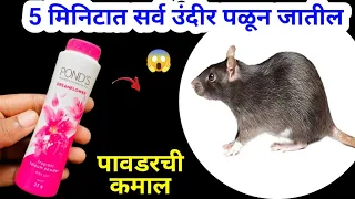 कोणतही औषध न वापरता घालवा घरगुती पद्धतीने उंदीर😱takau pasun tikau vastu / kitchen tips / mouse / rat