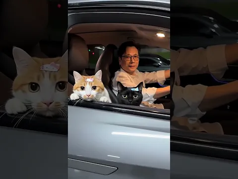 世界未必總可愛，但你可以選擇可愛地回應它；我和貓咪，笑對世界，便是「看透生活後依然熱愛生活」的最溫柔註腳。
