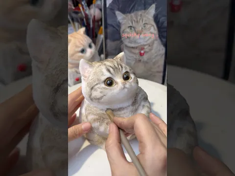 Whose chubby cat is so cute #ihavethisthingwithplants #cuteanimal #squishy #cute #cutecat #toocute
