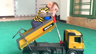 Monkey Bunbun | Teach Baby Monkey to bring things to the car |  Animal Cute
