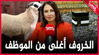 منيب: ثمن الخروف أغلى من أجرة الموظف ويجب توزيع الخرفان على الفقراء وليس على مسؤولين ويغضبني الحج
