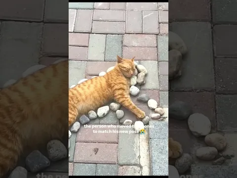 Kittyo art on a Monday morning and some nice vibes playing