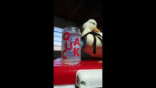 PET DUCK eats frozen peas / ASMR / Mochi The Duck