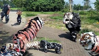 MACANAN CAN MACANAN PERTARUNGAN SINGO E ADU BANTENG