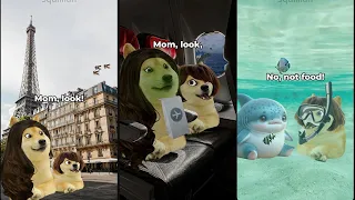 All Squillian lil girl doge shorts in chronological order (Up to April 2025)