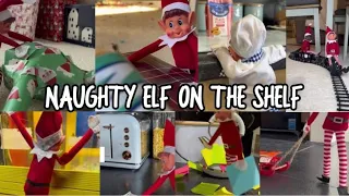 Naughty Elf On The Shelf Compilation 2022  #elfontheshelf