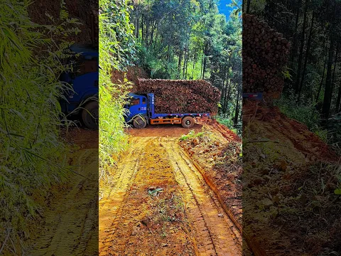 #landcruiser #truck #work