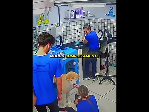 O cachorro pediu desculpas por ter mordido ela 🥹❤️