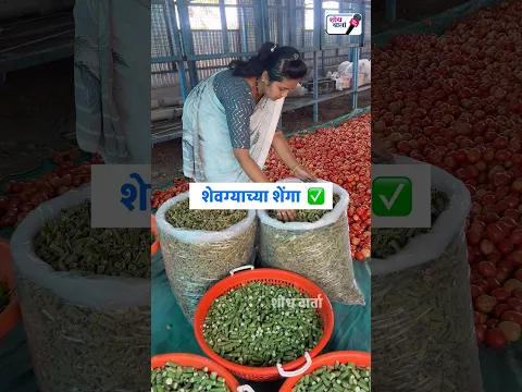 भाजीपाला प्रक्रिया उद्योग | Vegetable Dehydration Business | ग्रामीण उद्योग | शोध वार्ता |