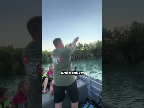 ОЧЕНЬ СМЫШЛЁННАЯ ПТИЦА..