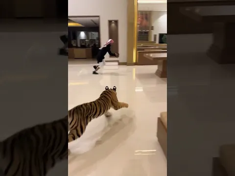Episode 102:Don’t miss end 😱😱😁🦁 tiger attack on my friend 🥵🐯 |Tiger attack|