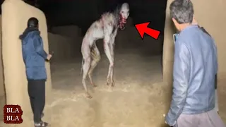 أقوى 10 مشاهد مرعبة صورتها عدسات الكاميرا سنة 2023 ! بلابلا