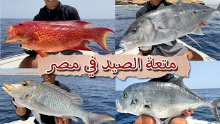 اصطادنا فى البحر الاحمر واتفاجئنا بالوحوش🔥😱