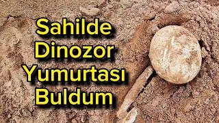 Sahilde DİNOZOR YUMURTASI Buldum