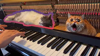 Cat on Piano: Jingle Bells