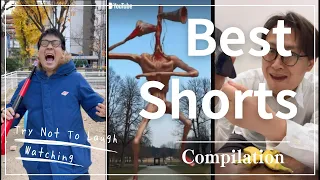 Best of samuraiboys_117 TikTok Compilation  | Try Not To Laugh Watching 2023