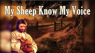 My Sheep Know My Voice