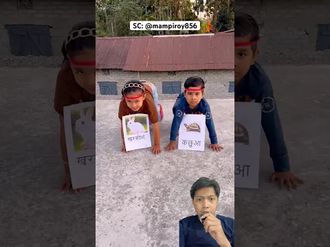 lomba lari kelinci lawan kura kura #shorts #dubbing