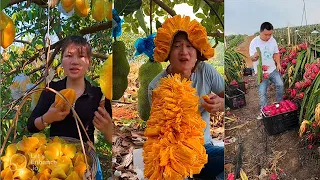 চীনের খাইখুরি পেটুক দেখুন 😮 ফল গুলো দেখে মন জুড়িয়ে যায় Farm Fresh Ninja Fruits Ko Bangla Part 9
