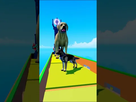 TSUNAMI VS MASCOTAS