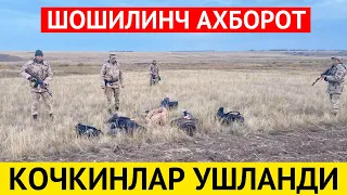 ЧЕГАРАДА ЖОН ХОЛАТДА КОЧГАН РОССИЯЛИКЛАР УШЛАБ ОЛИНДИ