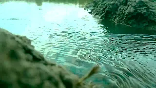 Beautiful Nature 4K 🌿 | Peaceful Village Morning with Birds Sound 🐦 | Relaxing Video”