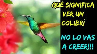 945---SIGNIFICADO ESPIRITUAL DEL COLIBRÍ. el mensajero de DIOS