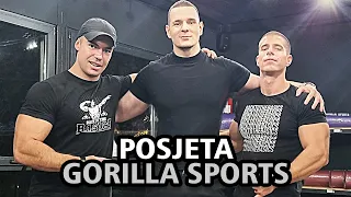 SA PROFESIONALCIMA ZA SKLEKOVE + GORILLA SPORTS TOUR