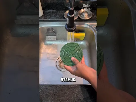 Cara Mengusir Nyamuk Tanpa Membakar Obat Nyamuk‼️😱