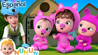 Los tres cerditos y el lobo feroz | Español | Canciones Para Niños | NuNu Tv Canciones Infantiles