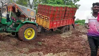 कोथिंबीर  उग  नाई  माय 💯💥🍀🍀