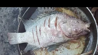 Pescando con Atarraya en San Antonio | Lago de Chapala 🎣