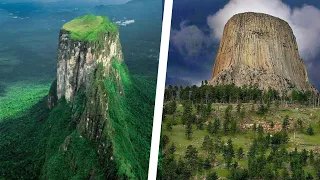 ANTIGUOS ÁRBOLES GIGANTES 🤯​
