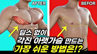[아랫가슴] 딥스 해도 자극 없고 어깨만 아프다면 '이 운동'으로 쉽게 만드세요! (딥스 없이 아래가슴 키우는 방법)