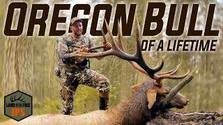 Kody's OREGON BULL of a LIFETIME - EP 05 LOF4.0