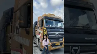 China Truck Beautiful Driver Drving 3 Axles Fence Semi Trailer