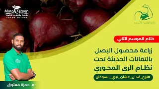 ختام الموسم الثاني - زراعة البصل بالتقانات الحديثة تحت نظام الري المحوري